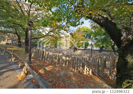 北九州市の人気観光スポット小倉城に並べられた竹灯籠 112896322