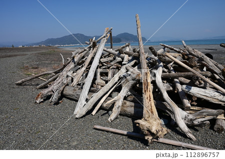 ひとまとめにされた流木 112896757