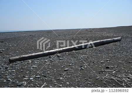 海岸に漂着した流木と海辺の風景 112896892