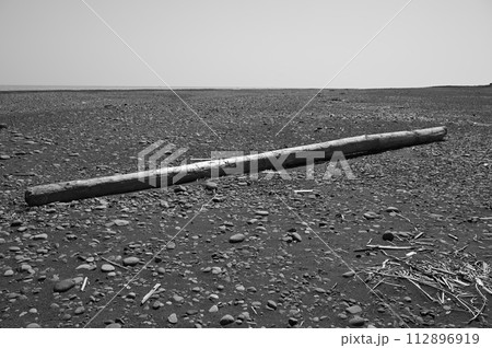 海岸に漂着した流木と海辺の風景 海岸に漂着した流木と海辺の風景 112896919