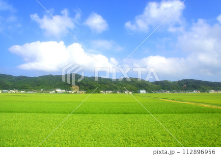 筑肥線鹿屋駅から越前前原駅までの車窓風景(2022年) 筑肥線鹿屋駅から越前前原駅までの車窓風景(2022年) 112896956