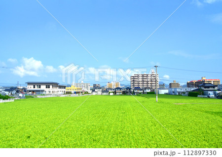 筑肥線越前前原駅から姪浜駅までの車窓風景(2022年) 112897330