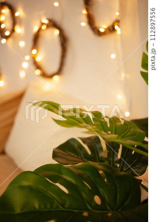 Monstera home plant. Christmas lights sideways, artificial flower In the interior Monstera home plant. Christmas lights sideways, artificial flower In the interior 112897556