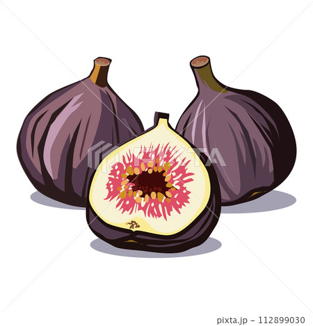 Healthy purple fig with half on white background. Isolated vector summer fruit in flat style. Healthy purple fig with half on white background. Isolated vector summer fruit in flat style. 112899030