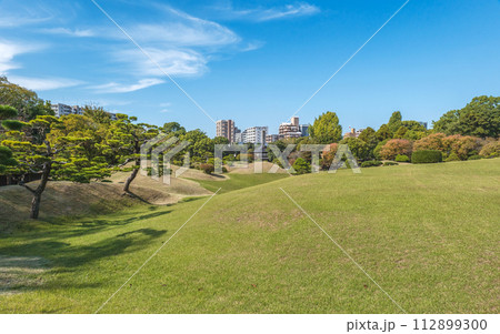 熊本 水前寺公園の美しい園内風景 熊本 水前寺公園の美しい園内風景 112899300