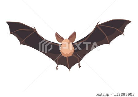 Bat. Concept cartoon bat. Vector clipart illustration isolated on white background 112899903