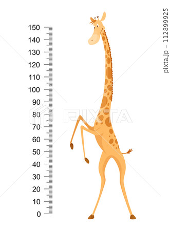 Funny giraffe. Cheerful funny giraffe with long neck. Giraffe meter wall or height chart or wall sticker. Illustration with scale from 0 to 150 centimeter to measure growth 112899925