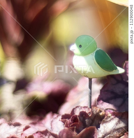 縄の小鳥 縄の小鳥 112900048
