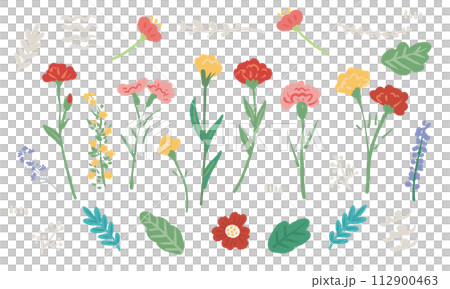 カーネーションと花々の手書きのイラストセット 112900463