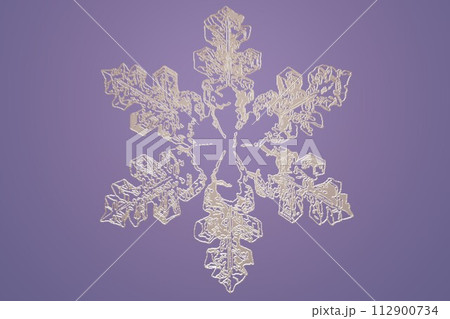 雪の結晶 紫バック顕微鏡観察スケッチ 雪の結晶 紫バック顕微鏡観察スケッチ 112900734