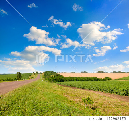 Agricultural fields and blue sky with clouds. Agricultural fields and blue sky with clouds. 112902176
