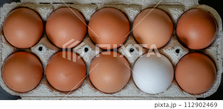 Fresh chicken eggs in a paper tray on the table, selective focus Fresh chicken eggs in a paper tray on the table, selective focus 112902469