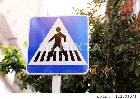 Blue white pedestrian crossing sign on street on natural tree backdrop. Traffic sign for safe crossing of carriageway. Place of transition. Standard European road sign on metal pole indicates zebra Blue white pedestrian crossing sign on street on natural tree backdrop. Traffic sign for safe crossing of carriageway. Place of transition. Standard European road sign on metal pole indicates zebra 112903071