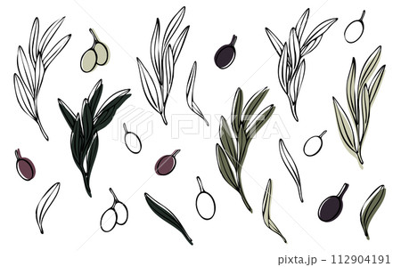 Vector olive tree branch with leaves and olives fruit. Hand painted outline floral illustration with color background for logo, package design, greetings, wallpapers, print, fabric 112904191