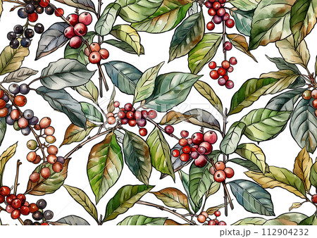 Coffee tree. Branch with leaves and berries.  112904232