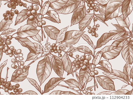 Coffee tree. Branch with leaves and berries.  112904233