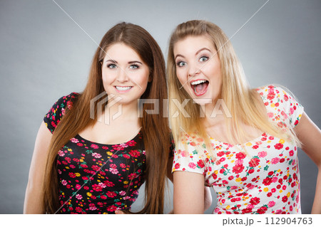 Two happy women friends having fun 112904763