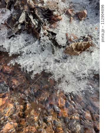 thin transparent ice on a puddle in the park on a spring day, foliage through the ice, dry grass through ice thin transparent ice on a puddle in the park on a spring day, foliage through the ice, dry grass through ice 112904896