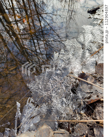 thin transparent ice on a puddle in the park on a spring day, foliage through the ice, dry grass through ice 112904897