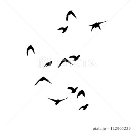 Flying birds silhouette flock. hand drawing. Not AI, Vector illustration 112905229