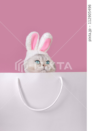 Close up of cute white cat in a hat with bunny ears , sits in large white paper bag Close up of cute white cat in a hat with bunny ears , sits in large white paper bag 112905496