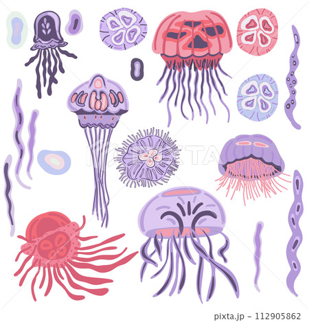 Flat design big set flat design jellyfish ocean animals 112905862