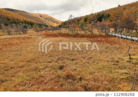 秋の入笠山の紅葉の風景 ( 大阿原湿原 / 10月 ) 秋の入笠山の紅葉の風景 ( 大阿原湿原 / 10月 ) 112906268