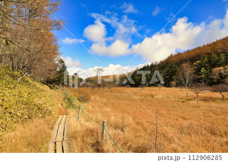 秋の入笠山の紅葉の風景 ( 大阿原湿原 / 10月 ) 112906285