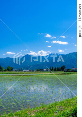 【初夏素材】安曇野市の水田と水鏡【長野県】 【初夏素材】安曇野市の水田と水鏡【長野県】 112906394