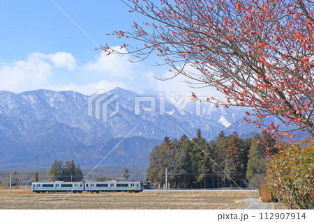 大糸線　早春の安曇野 112907914