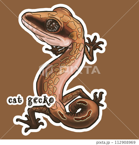 かわいい 可愛い キュート 112908969