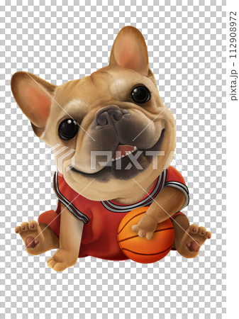 法國鬥牛犬 法國鬥牛犬 112908972