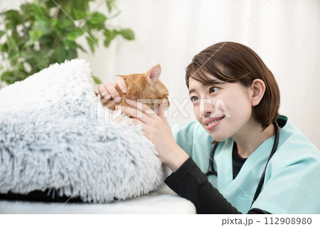 ちゃとらの仔猫と女性獣医師 112908980