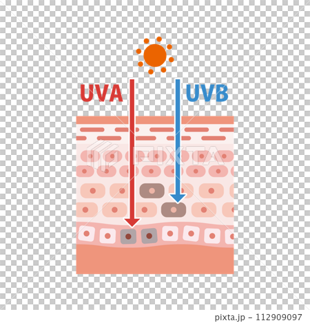 日焼けの仕組みを解説する紫外線と肌の構造の図解。フラットなベクターイラスト。 112909097