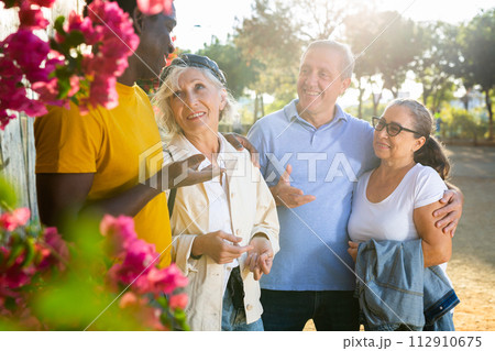 Mature multinational cheerful males and females talking outdoors near the park on a sunny day 112910675