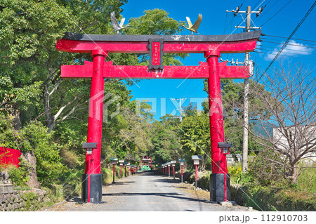 【加紫久利神社】 鹿児島県出水市下鯖町 112910703