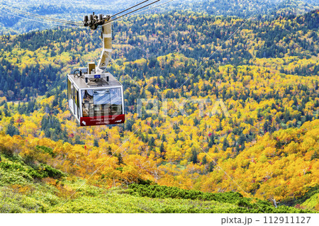 北海道 紅葉の旭岳 112911127