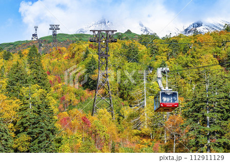 北海道 紅葉の旭岳 112911129