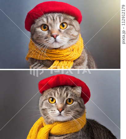 あちゃちゅむ 帽子マフラー 猫デザイン あちゃちゅむ 帽子マフラー 猫デザイン - メルカリ