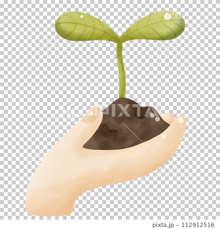 Hand holding seedling growing Hand holding seedling growing 112912516