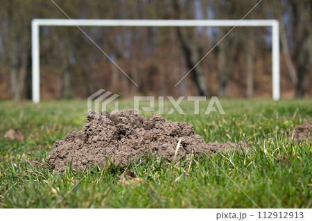 Football pitch with large mole hole in foreground 112912913