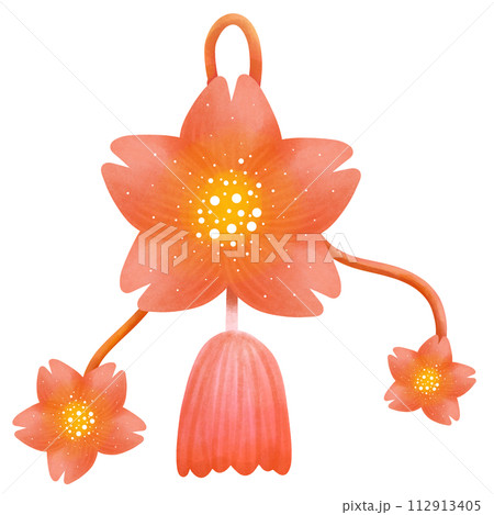 Chinese flower fetish 112913405