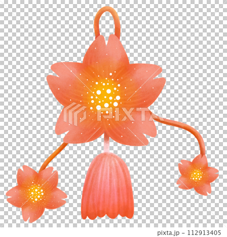 Chinese flower fetish 112913405