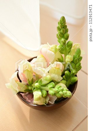 ストック 112913471