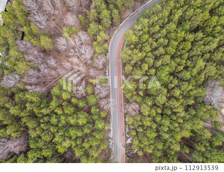 Aerial view of the road in the summer forest with green high pine or spruce trees. 112913539
