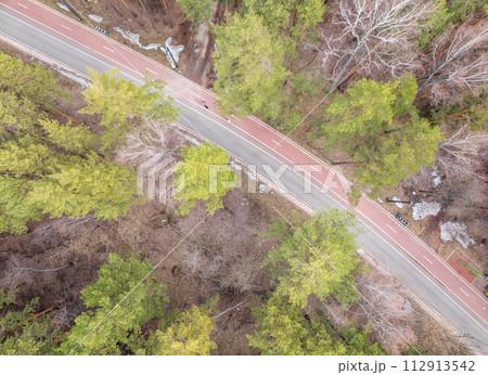 Aerial view of the road in the summer forest with green high pine or spruce trees. Aerial view of the road in the summer forest with green high pine or spruce trees. 112913542