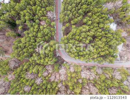 Aerial view of the road in the summer forest with green high pine or spruce trees. 112913543