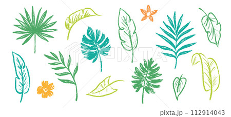 Palm leaf hand drawn crayon brush illustration. Foliage green tropical jungle leaves monstera, banana tree leaf texture silhouette elements. Hand drawn grunge black texture. Vector Palm leaf hand drawn crayon brush illustration. Foliage green tropical jungle leaves monstera, banana tree leaf texture silhouette elements. Hand drawn grunge black texture. Vector 112914043