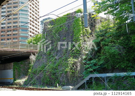 旧江戸城の牛込門跡の石垣【東京都千代田区】 112914165