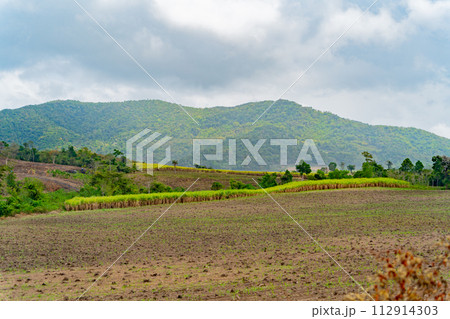 Vietnamese landscape. Vietnamese landscape. 112914303